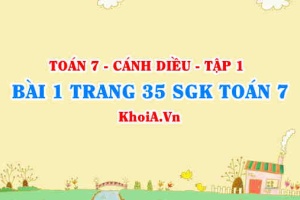 Bài 1 trang 35 SGK Toán 7 tập 1 Cánh Diều